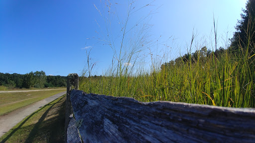 Fifer's Field - Visual