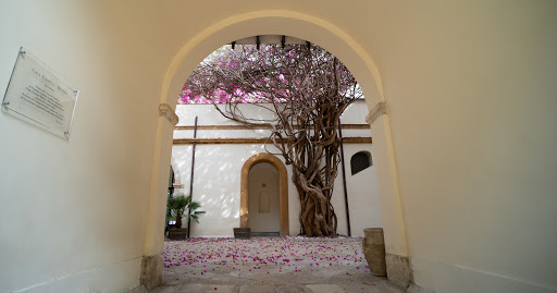 Maharìa - Visual