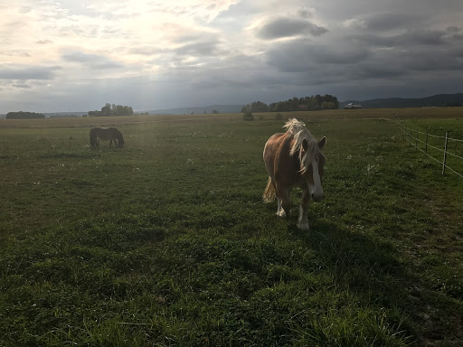 Vallby Farm - Thumbnail