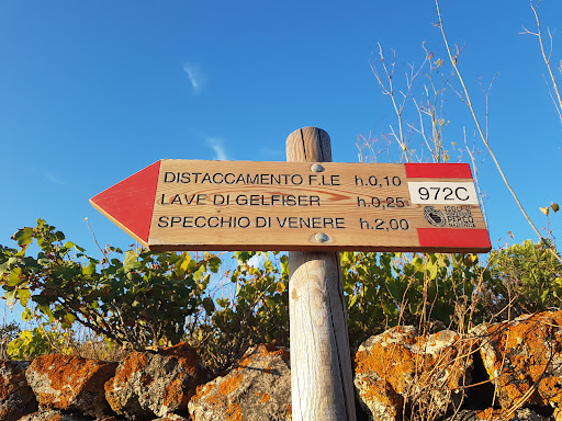 Gelfiser - Visual