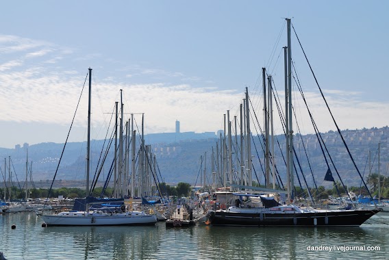 Kishon Marina, Author: Andrey Deveykin