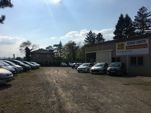 Photo de E.M Auto Saint-Bernard à Saint-Bernard (01600)