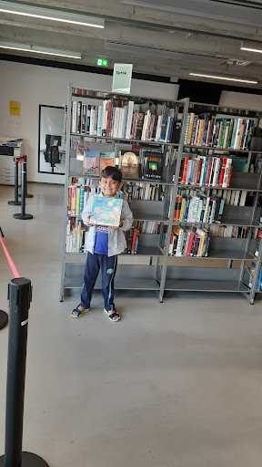 Backa Library - Visual