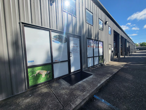 Henderson Auto - Visual