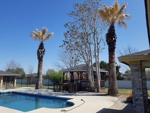 Texas Tree Services - Visual