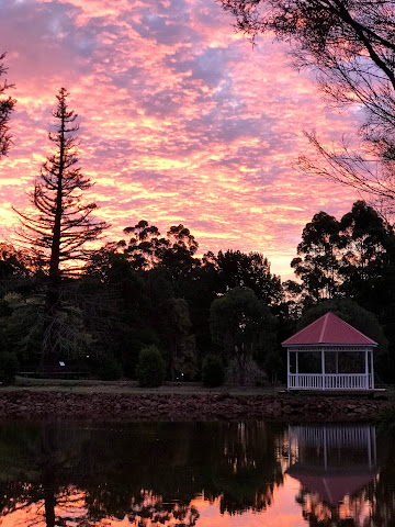 The Forest Lodge Resort Pemberton WA by null