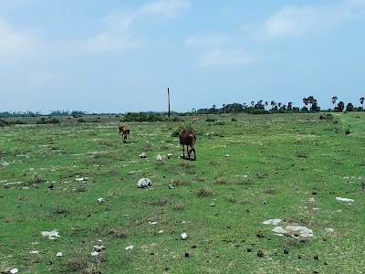 Photos of Delft Island