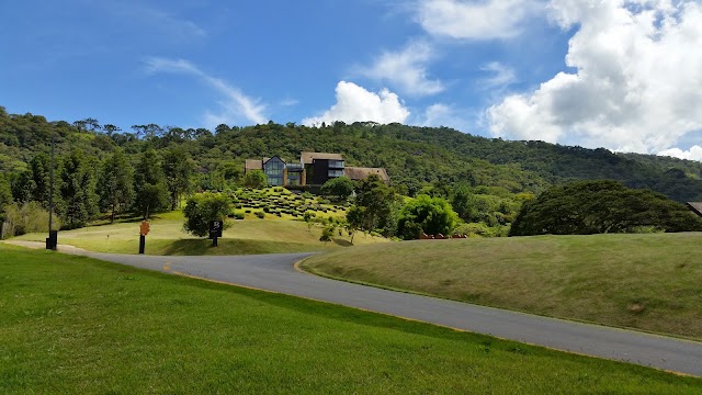 Botanique Hotel & Spa