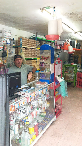 campi alimentos balanceados