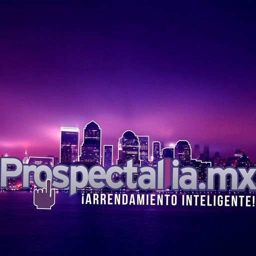 Prospectalia Mx - Visual