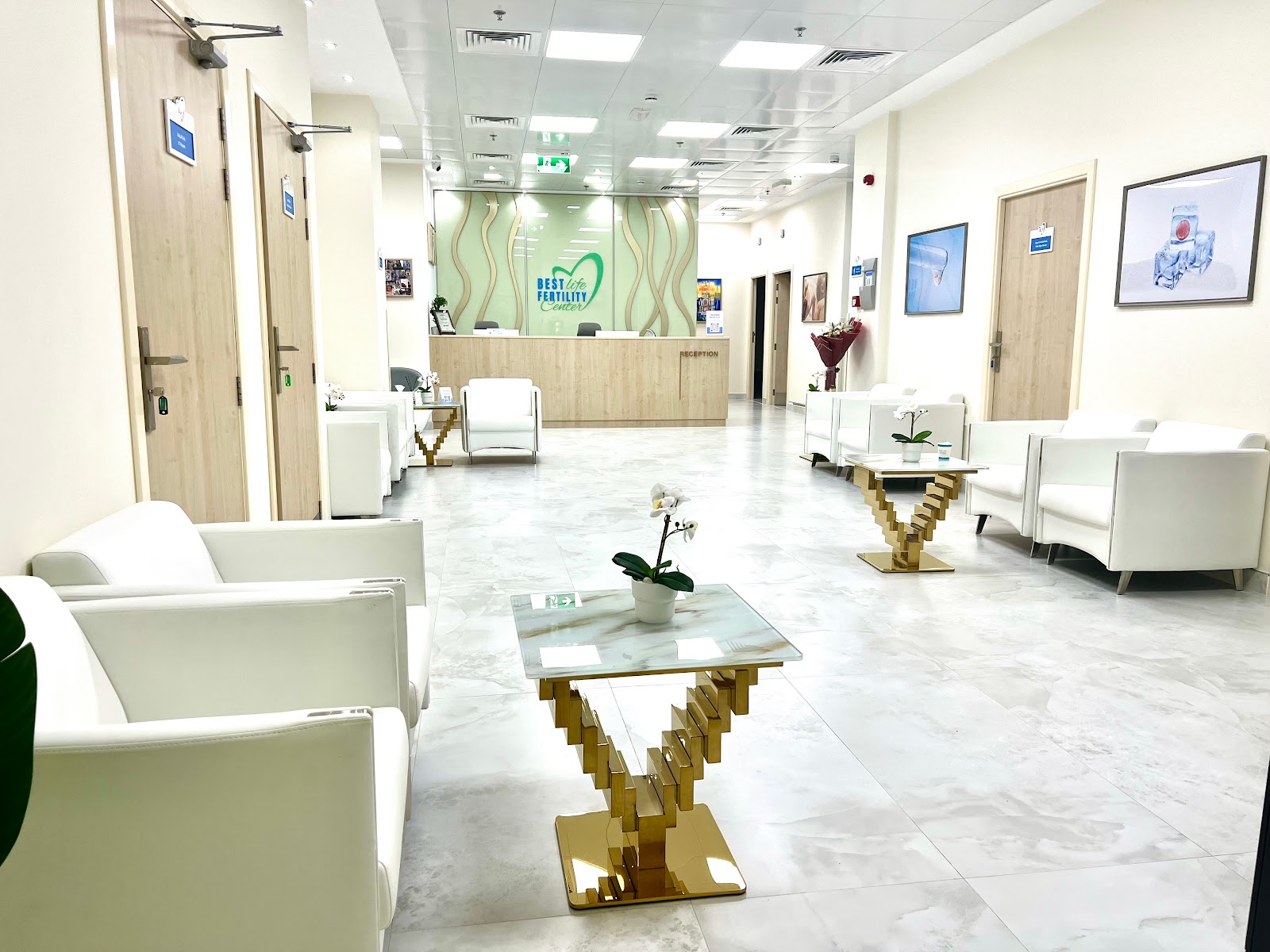 FertiClinic Fertilization Centre Sharjah - صورة 3
