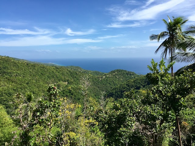 Tumalog Falls