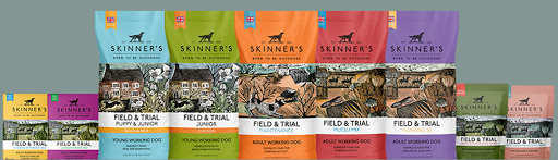 Skinner's - Visual