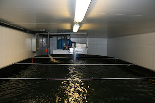 Photo n°13 de Lucas Perches Sarl à Hampont (Entrepreneur spécialisé en aménagement aquatique)