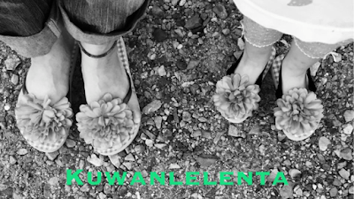 kuwanlelenta (クワンレレンタ)