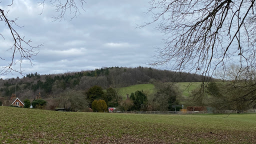 Latimer Park - Visual