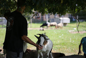 Photo n°5 de Chambre d’hôte Les Yourtes du Muton Noir - Gîtes de France à Oizon (Maison d'hôtes)