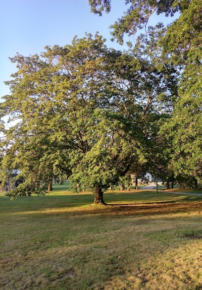 Mt Hope Farm