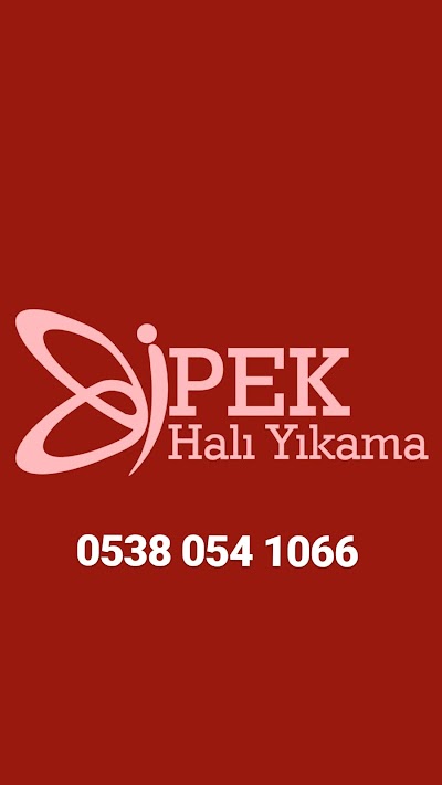 Kırşehir İpek halı&koltuk yıkama