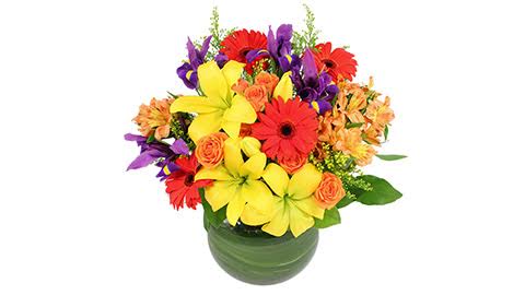 Campus Florist | Florist in Calgary - Thumbnail