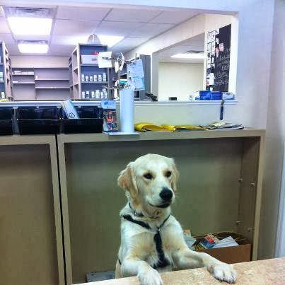 Five Points Pharmacy and Wellness - Thumbnail