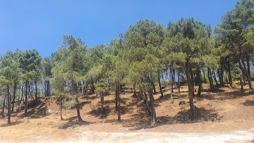 Campamento Valle del Tiétar - Thumbnail