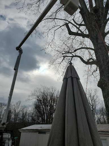 Locust Gardens Mobile Home Pk - Thumbnail