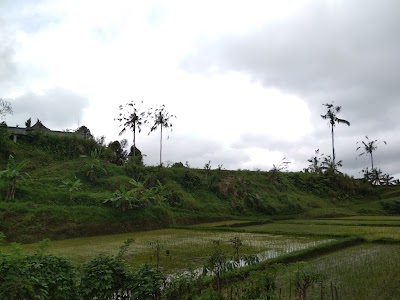 Photos of Air Terjun Nungnung