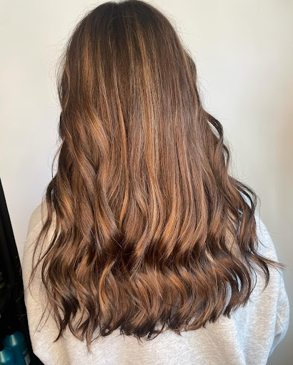 Rogue Salon - Thumbnail