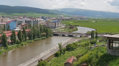 Ardahan Merkez