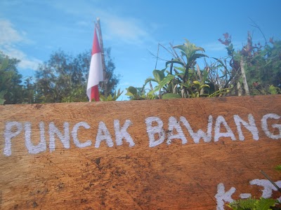 Photos of Gunung Bawang