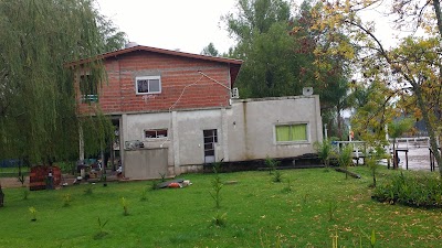 Photos of Alquimia