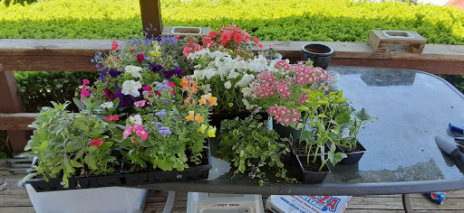 Roberts Greenhouse - Thumbnail