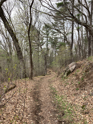 Myklebust Lake State Natural Area - Thumbnail