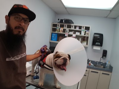 Photos of Washington Dog & Cat Hospital
