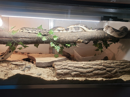Earle's Exotics - Thumbnail