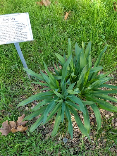 Granada Native Gardens