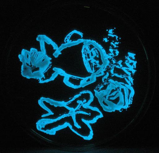 Leuchtlabor - Visual