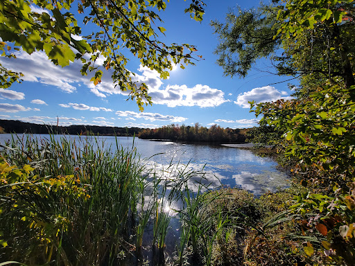 Chestnut Point Manasquan Reservoir - Thumbnail