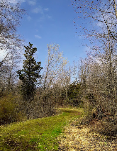 Doyle Park - Mike Merdinger Memorial Trail