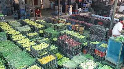 Photos of علوة التاجي