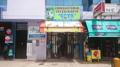 Veterinary Care