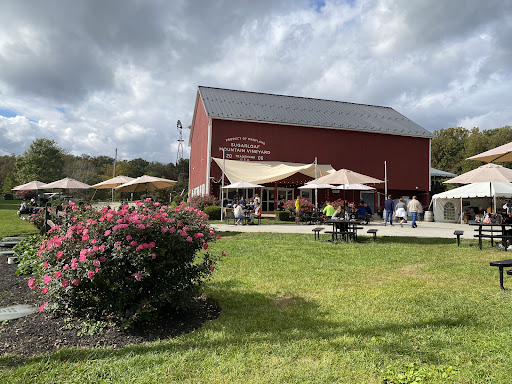 Sugarloaf Mountain Vineyard - Thumbnail