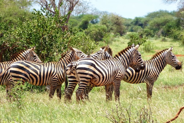 Parc national de Tsavo East