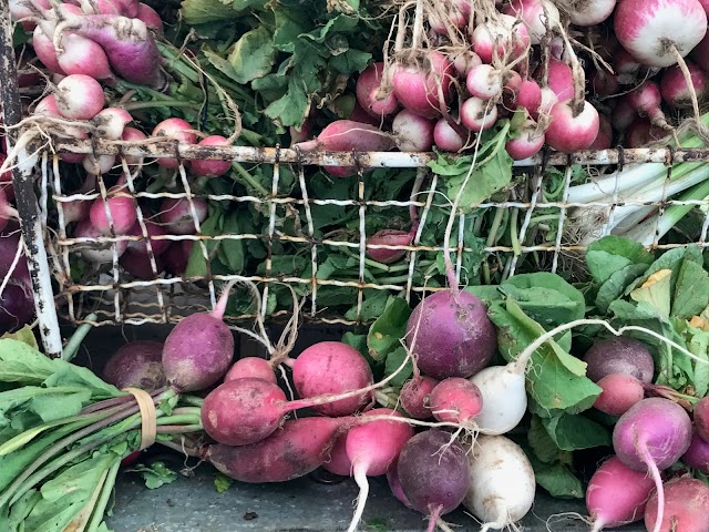 Oranjezicht City Farm - Market