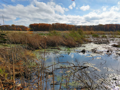 Carol H Sweet Nature Center Gallery - United States