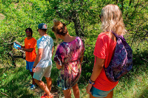 Photo n°87 de Camping Homair - Domaine de Chaussy à Lagorce (Piscine)