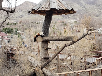 Asian Highlands at Hogle Zoo