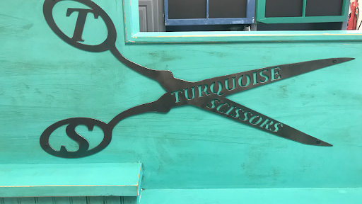 Turquoise Scissors - Visual