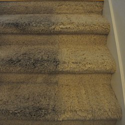 Florence Carpet Cleaning